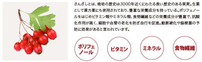 プロダクツ 37℃のしずく | レイナカンパニー